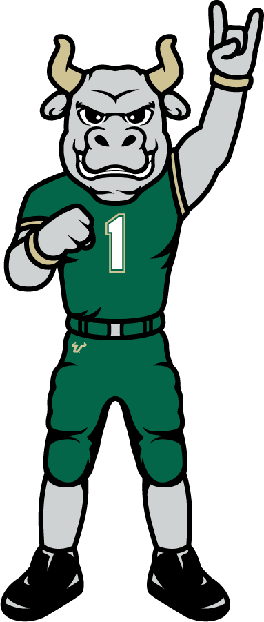 South Florida Bulls 2022-Pres Mascot Logo v2 diy iron on heat transfer